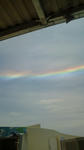 20110531123417.jpg
