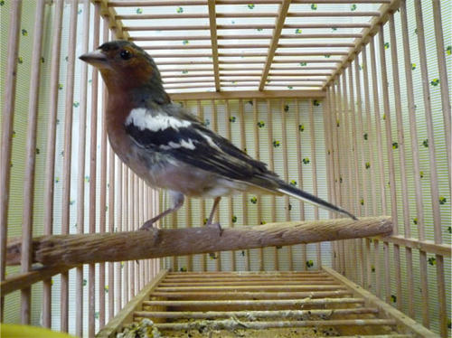 20120523_1.jpg