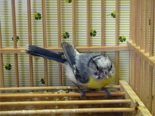 20120523_5.jpg