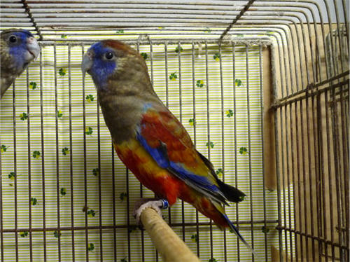 20120523_6.jpg