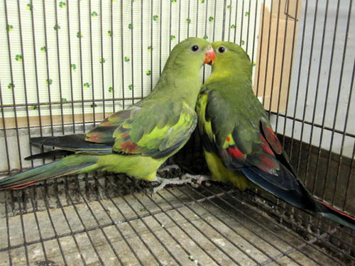 20120523_7.jpg