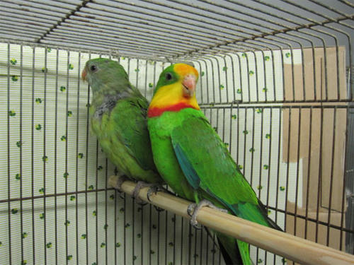 20120523_8.jpg
