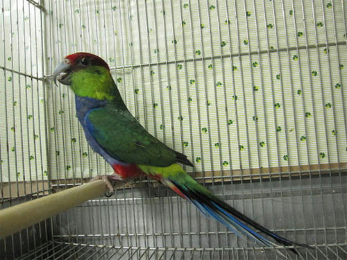 20120523_9.jpg