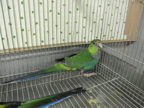 20120523_10.jpg