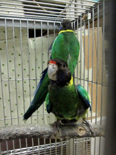 20120523_13.jpg