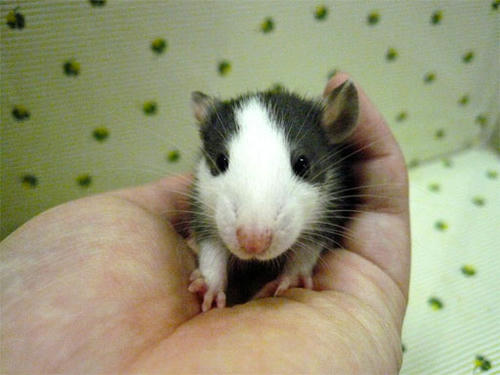 20120529_9.jpg
