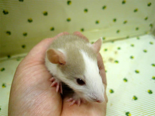 20120529_12.jpg