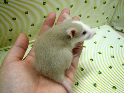 20120529_13.jpg