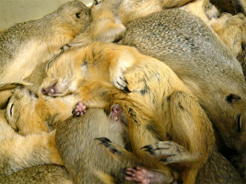 20120529_16.jpg
