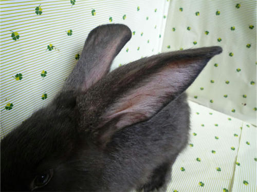 20120605_3.jpg