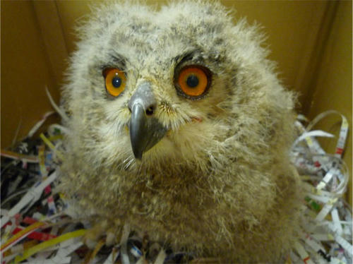 20120605_6.jpg