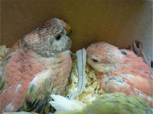 20120607_4.jpg