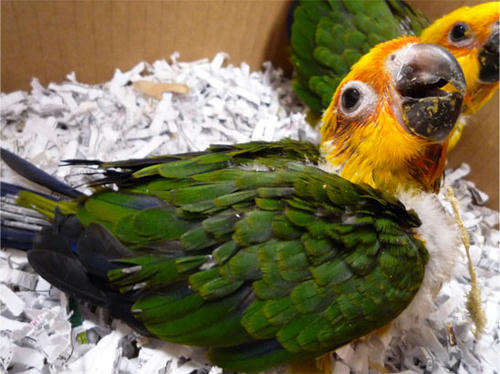 20120615_5.jpg