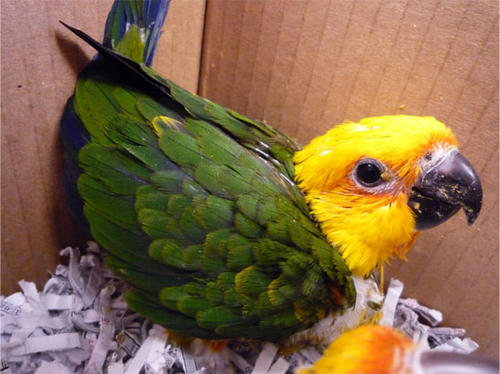 20120615_6.jpg