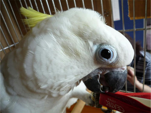 20120619_2.jpg