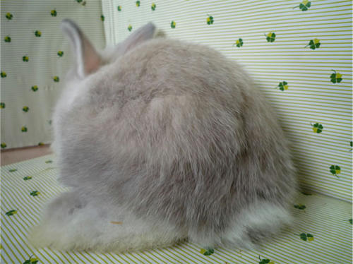 20120619_3.jpg