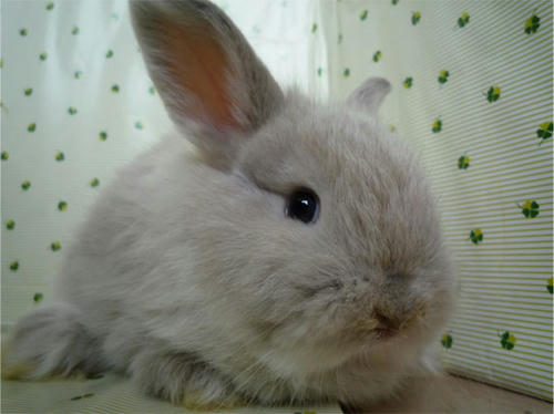 20120619_4.jpg