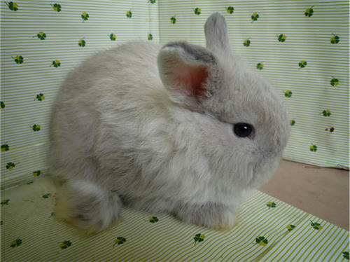 20120619_5.jpg