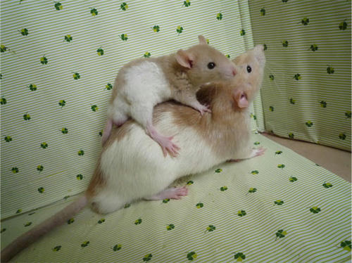 20120619_11.jpg