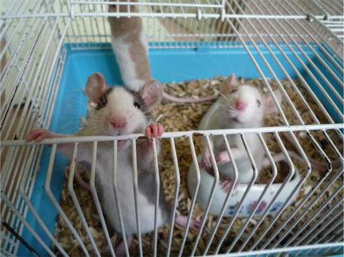 20120619_12.jpg