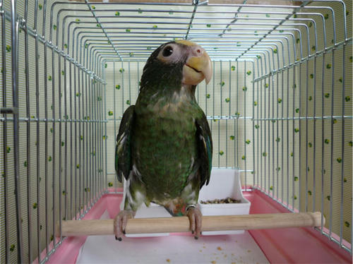 20120619_15.jpg
