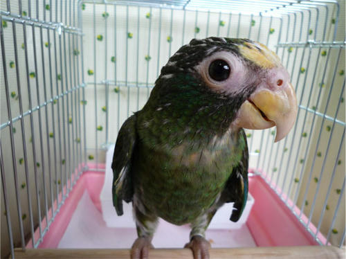 20120619_16.jpg
