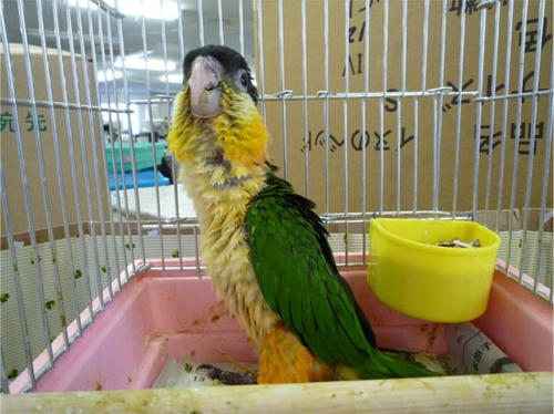 20120620_5.jpg