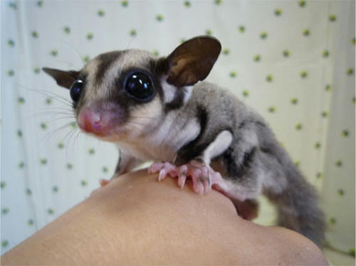 20120620_7.jpg