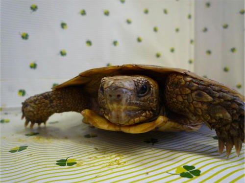 20120620_9.jpg
