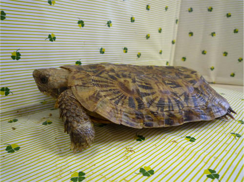 20120620_10.jpg