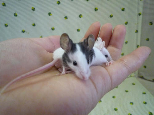 20120620_11.jpg