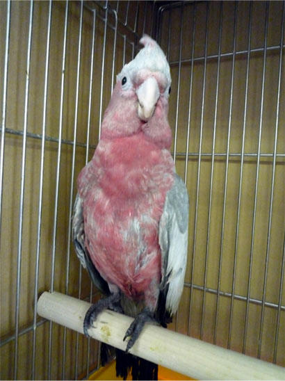 20120628_1.jpg