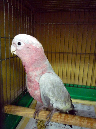 20120628_2.jpg