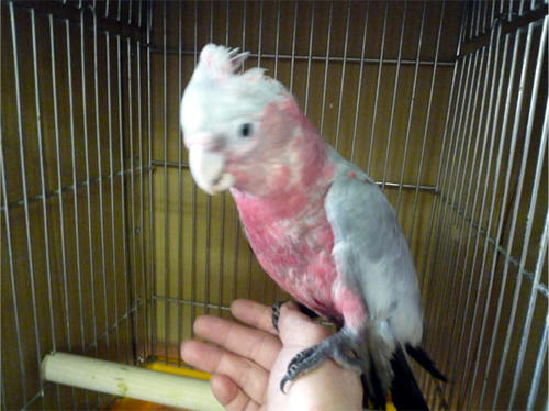 20120628_3.jpg