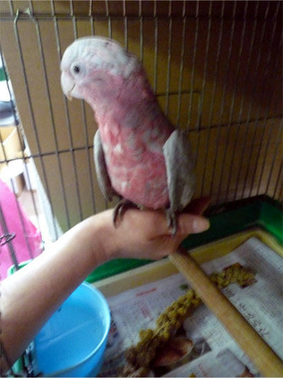 20120628_4.jpg