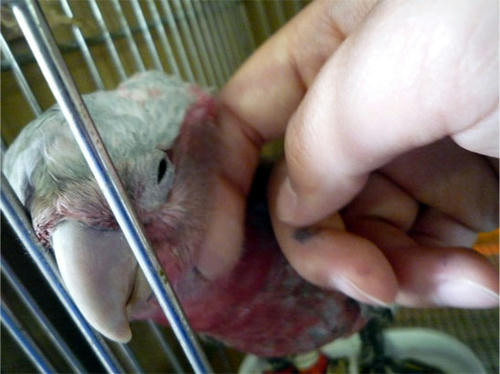 20120628_5.jpg