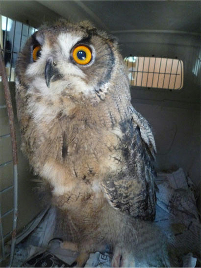 20120726_2.jpg