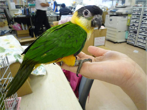 20120726_5.jpg