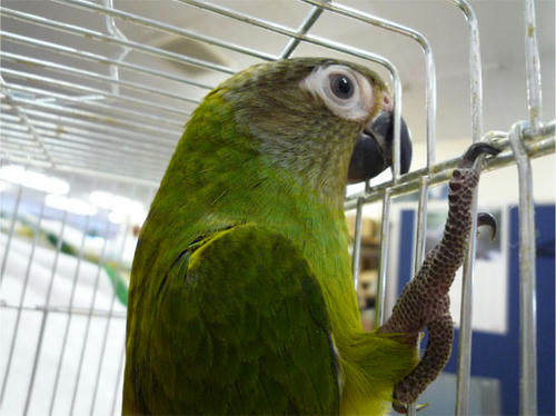 20120726_6.jpg