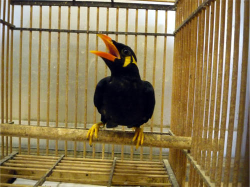 20120731_1.jpg