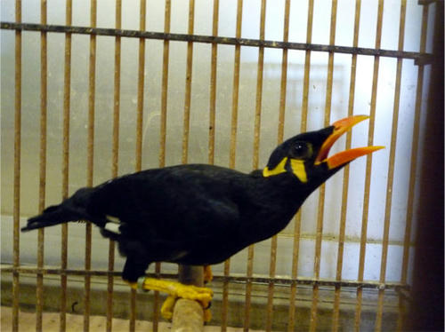 20120731_2.jpg