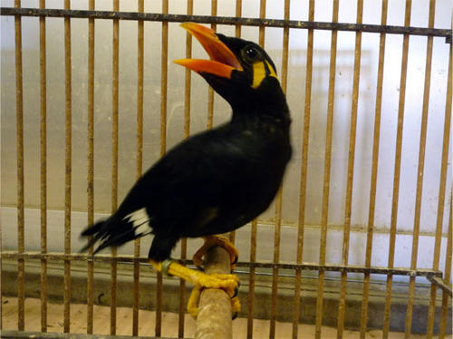 20120731_3.jpg