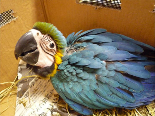 20120803_1.jpg