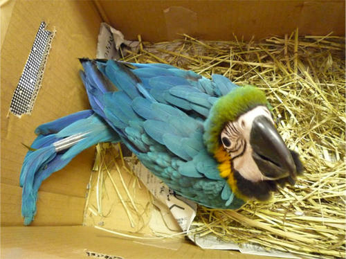 20120803_3.jpg