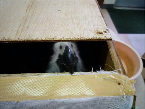 20120803_4.jpg