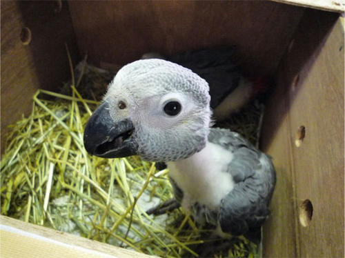 20120803_6.jpg