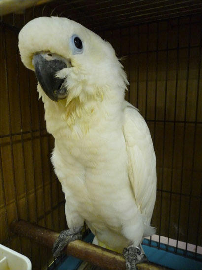 20120922_1.jpg