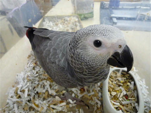 20120922_3.jpg