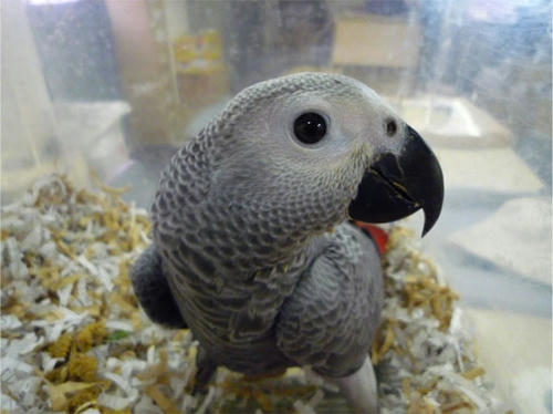 20120922_4.jpg
