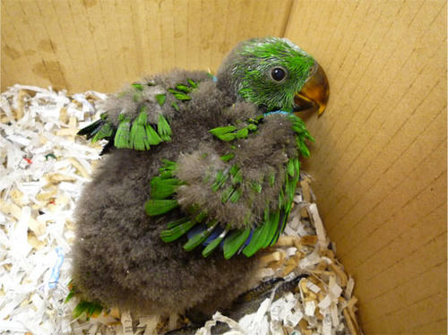 20120922_5.jpg